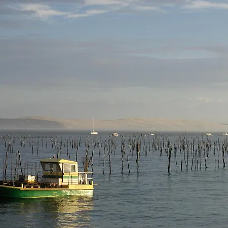 公寓 Grand T3 Avec 2 Terrasses Et Acces Direct - Fr-1-420-129 阿卡雄