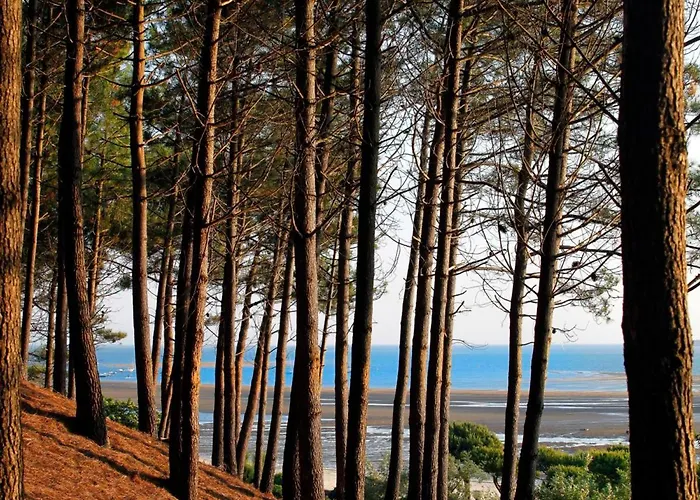 Grand T3 Avec 2 Terrasses Et Acces Direct - Fr-1-420-129 Апартаменты