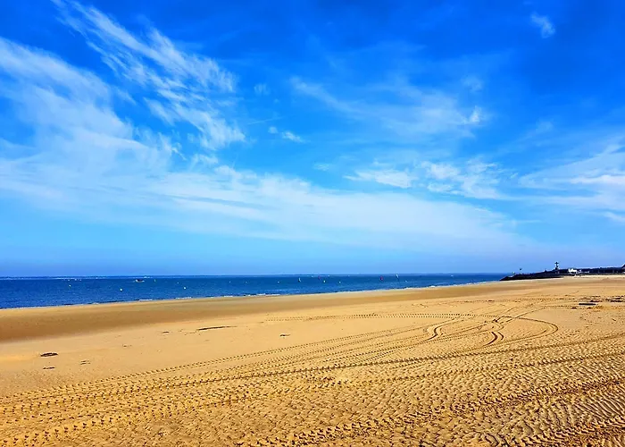 Grand T3 Avec 2 Terrasses Et Acces Direct - Fr-1-420-129 *